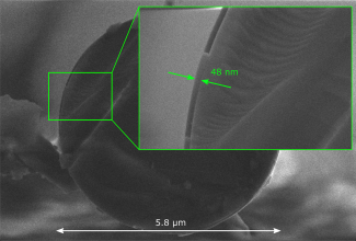 MEB image of a silica microfiber section coated with a 48 nm thick layer of TiO2